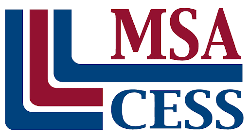 MSAcess Logo