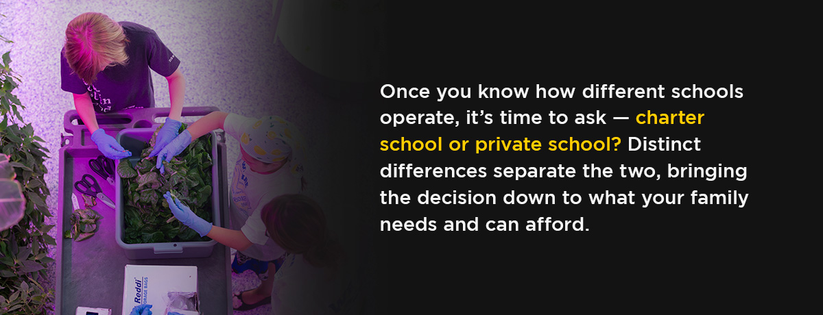 Private School vs. Charter School: Key Differences 