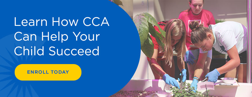 Graphic: Learn how CCA can help your child succeed CTA.