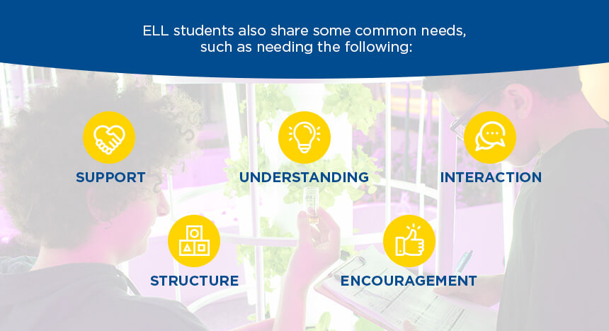 Graphic: What are the needs of ESL students?