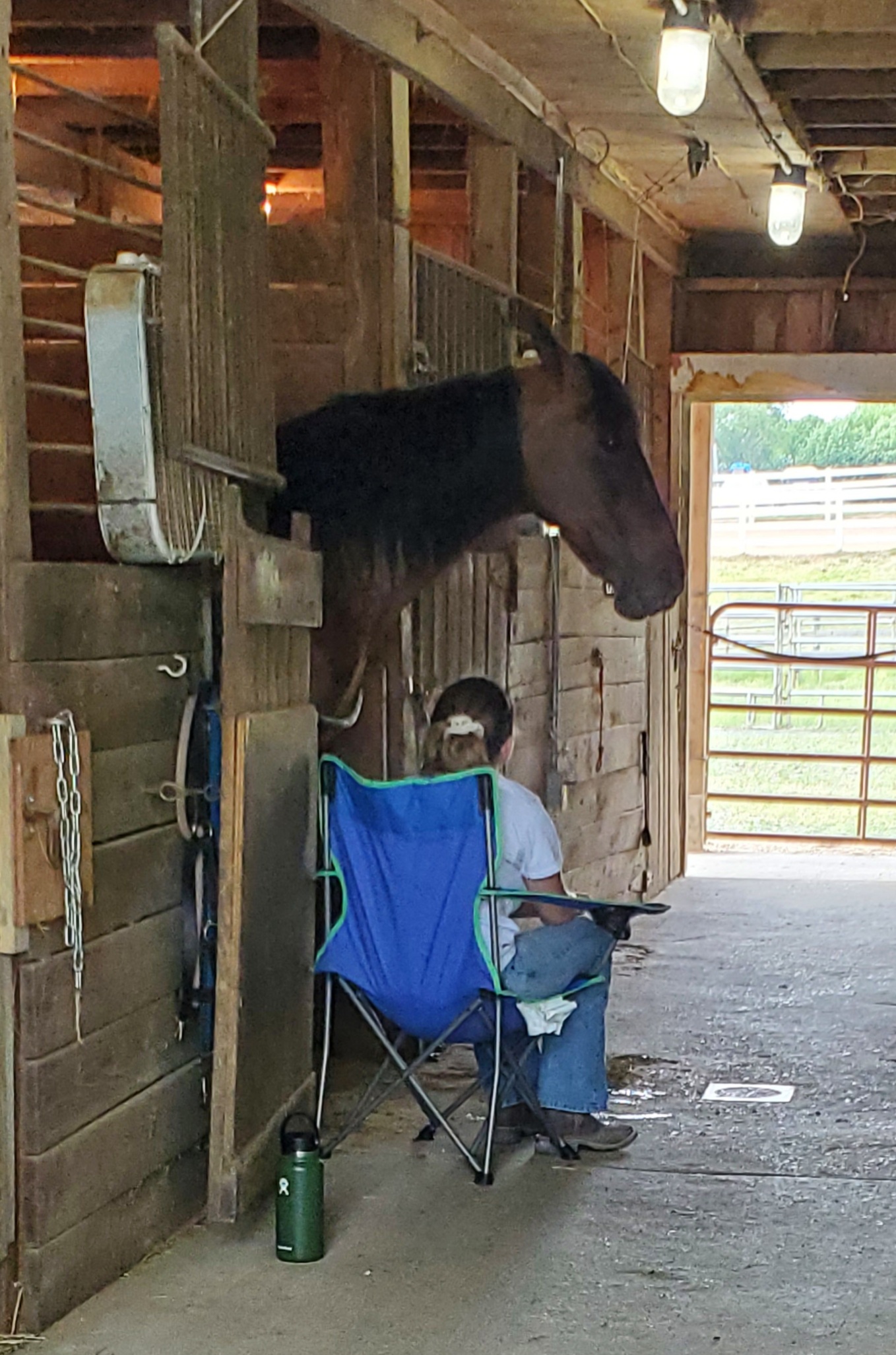 Bella comforting her horse