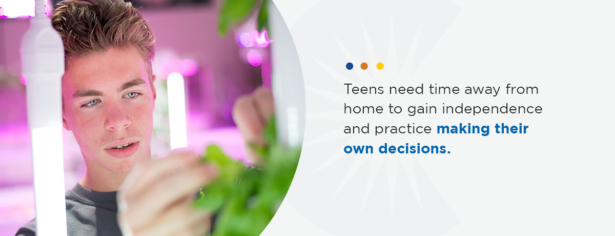 Graphic: teens need to practice making their own decisions