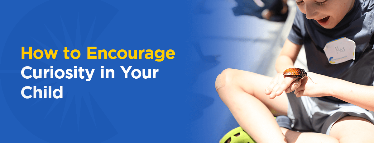 How to encourage curiosity in your child