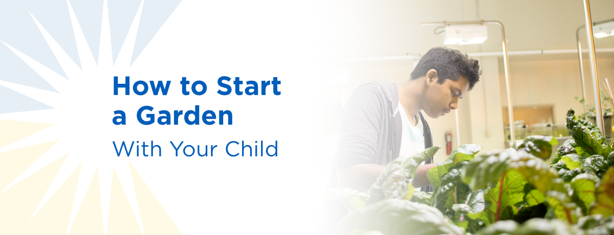 How to start a garden with your child