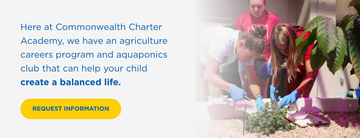 Learn more about our agriculture careers program