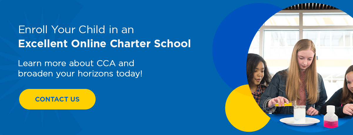 Enroll Your Child in an Excellent Online Public Charter School