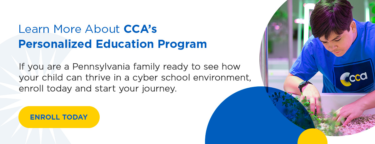 Learn More About CCA’s Personalized Education Program