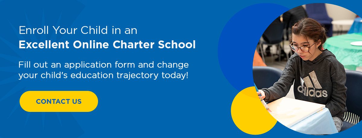 Enroll Your Child in an Excellent Online Charter School