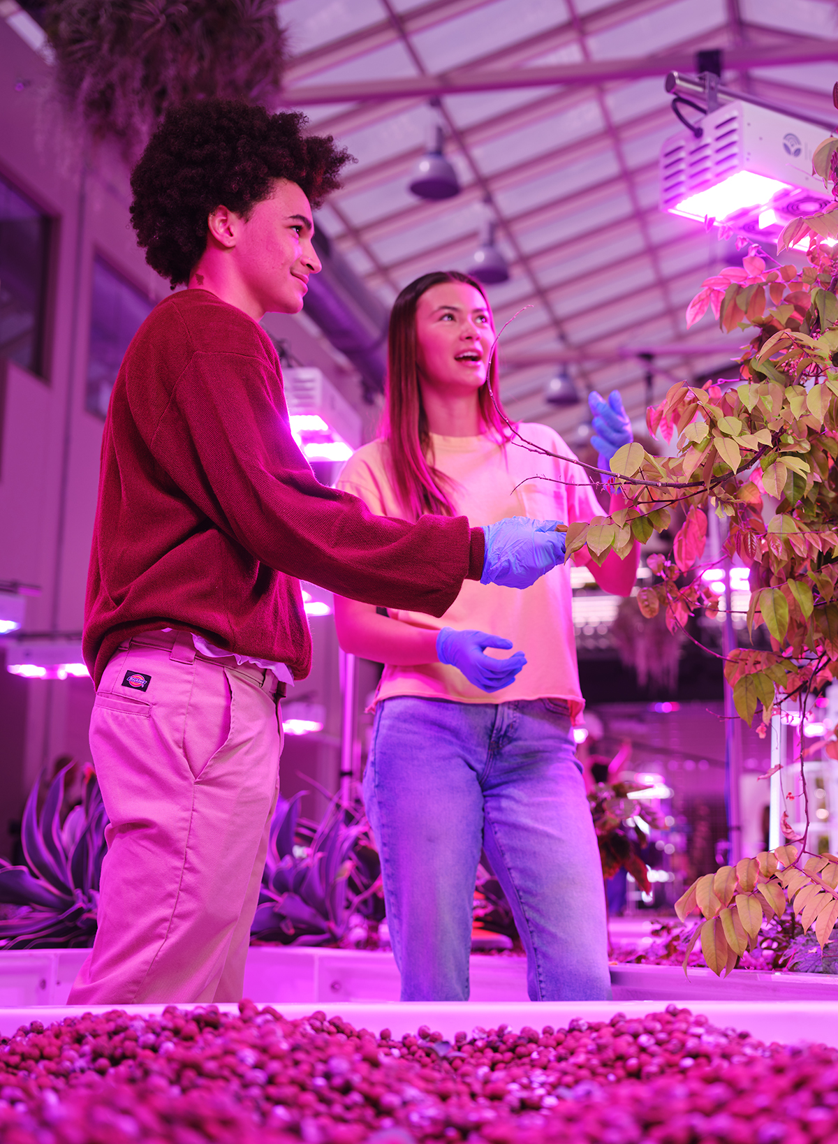 Two highschoolers observing a plant in a greenhouse